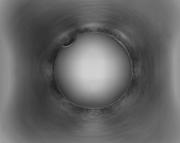 X0000113761062200910071127