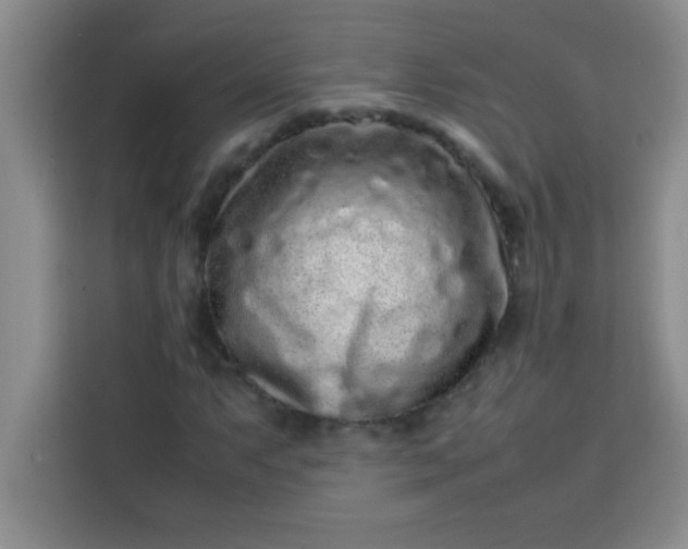 X0000113761063200910071127