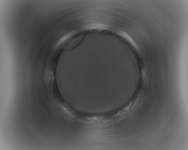 X0000113761064200910071127