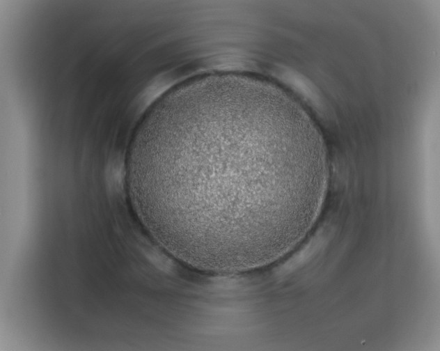 X0000113761065200910071127