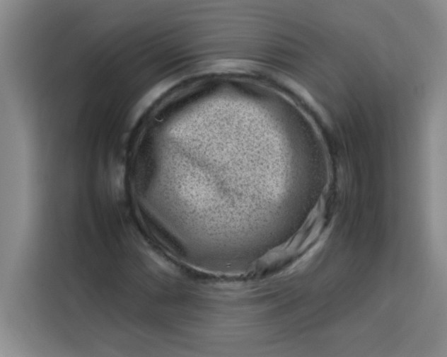 X0000113761066200910071127