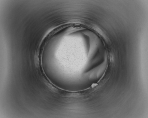 X0000113761068200910071127