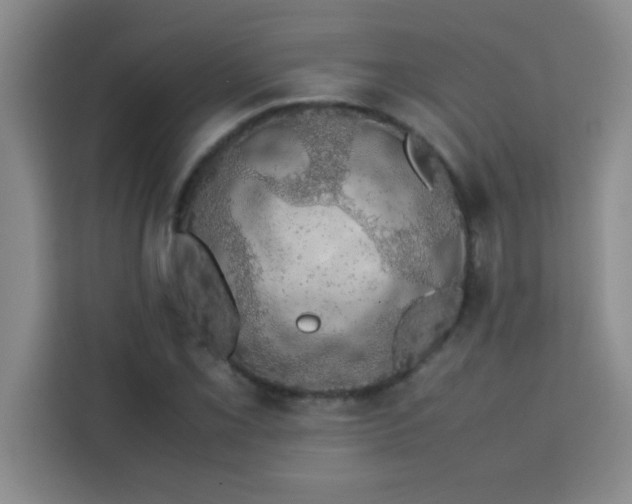 X0000113761069200910071127