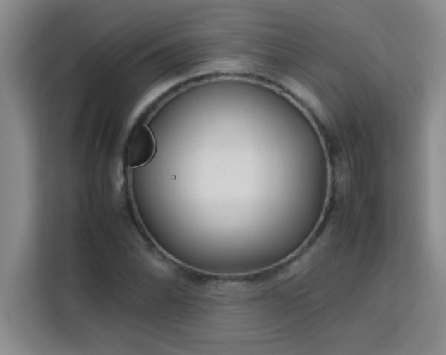 X0000113761070200910071127