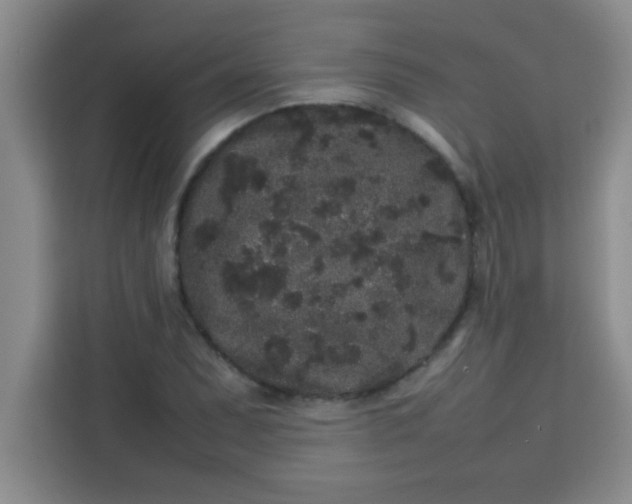 X0000113761071200910071127