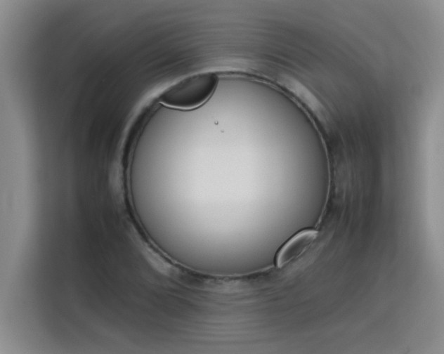 X0000113761072200910071127