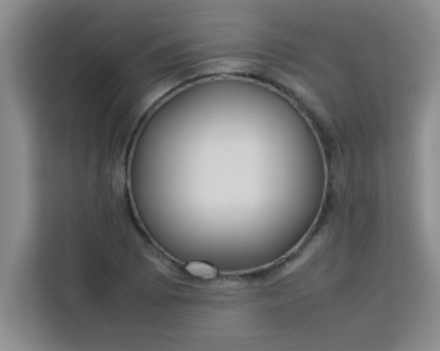 X0000113761073200910071127