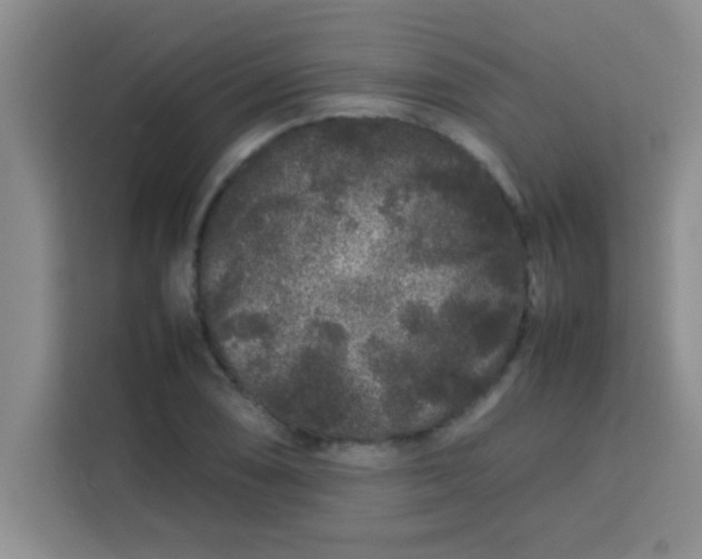 X0000113761074200910071127