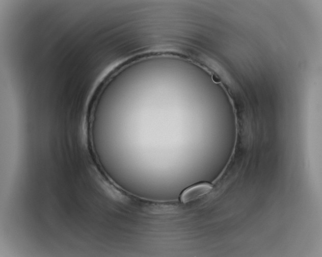 X0000113761076200910071127