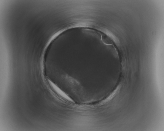 X0000113761077200910071127