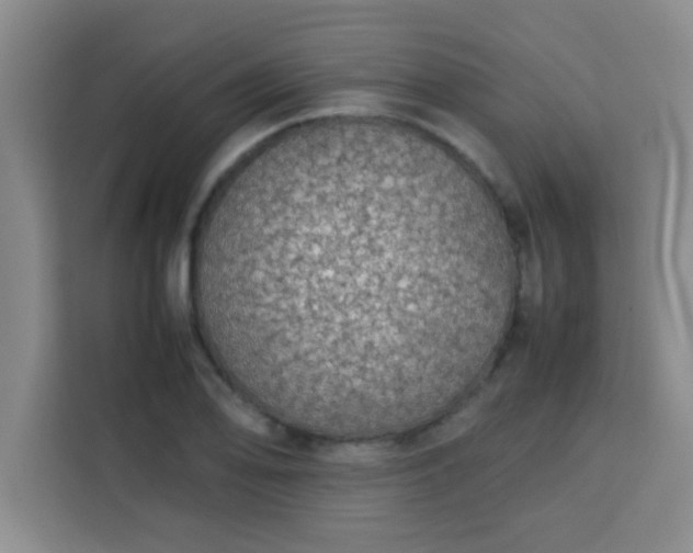 X0000113761078200910071127