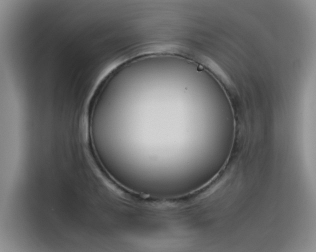 X0000113761079200910071127