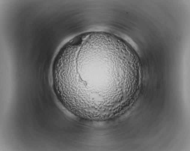 X0000113761080200910071127