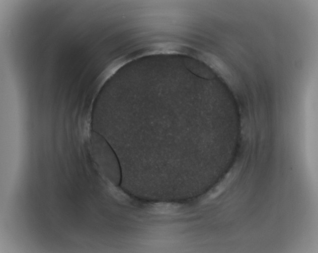 X0000113761081200910071127