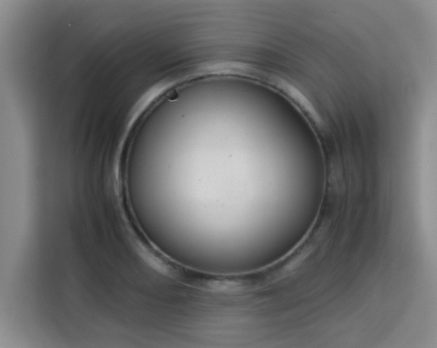 X0000113761082200910071127