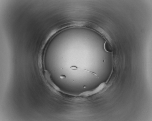 X0000113761083200910071127
