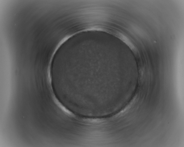 X0000113761084200910071127