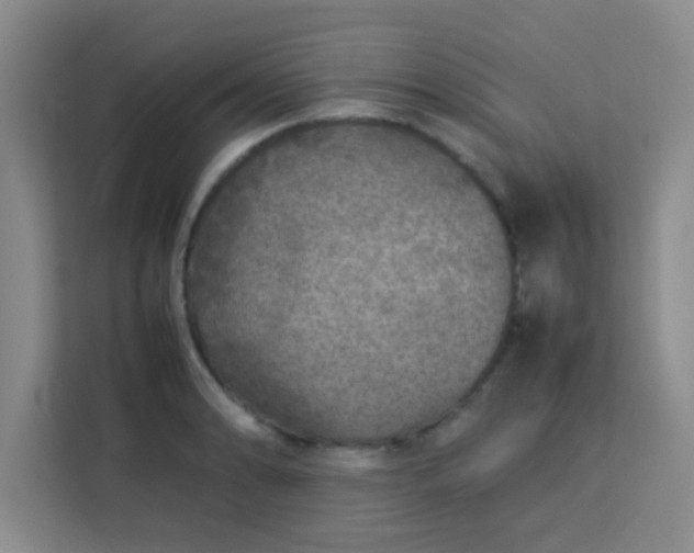 X0000113761086200910071127