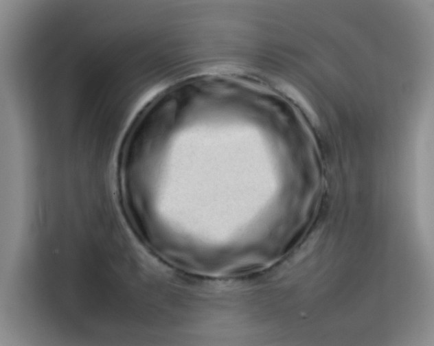 X0000113761087200910071127
