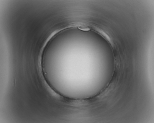 X0000113761091200910071127