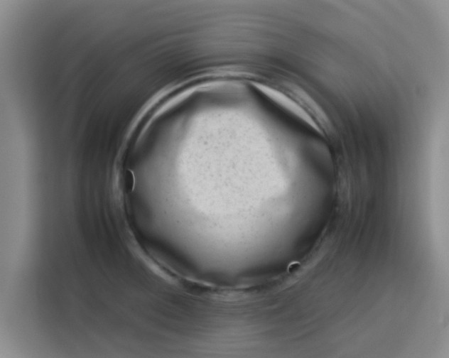 X0000113761092200910071127