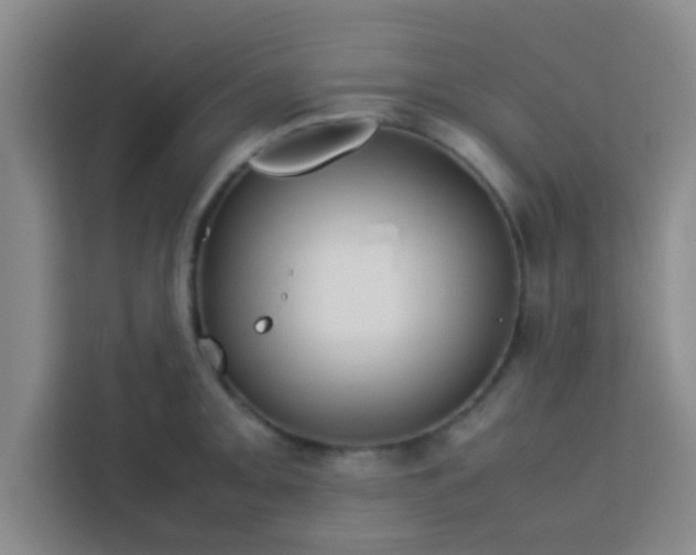 X0000113761093200910071127