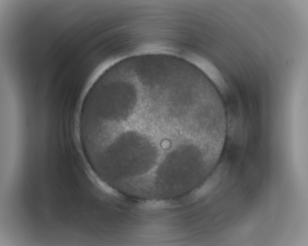 X0000113761094200910071127