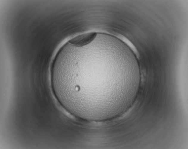 X0000113761096200910071126