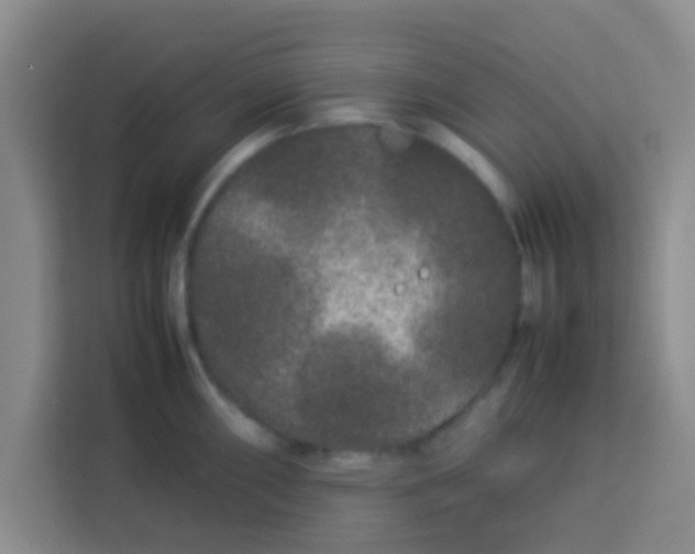 X0000113761098200910071126