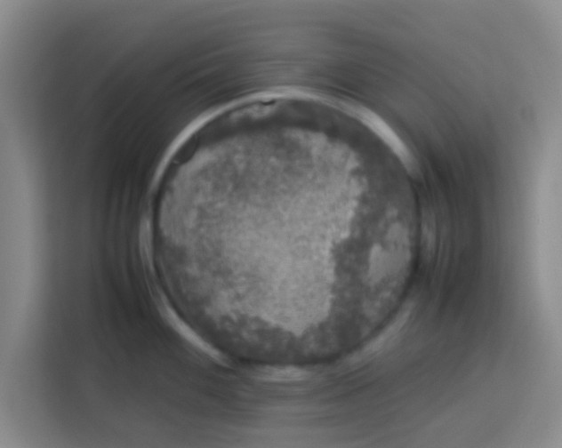 X0000113761100200910071126