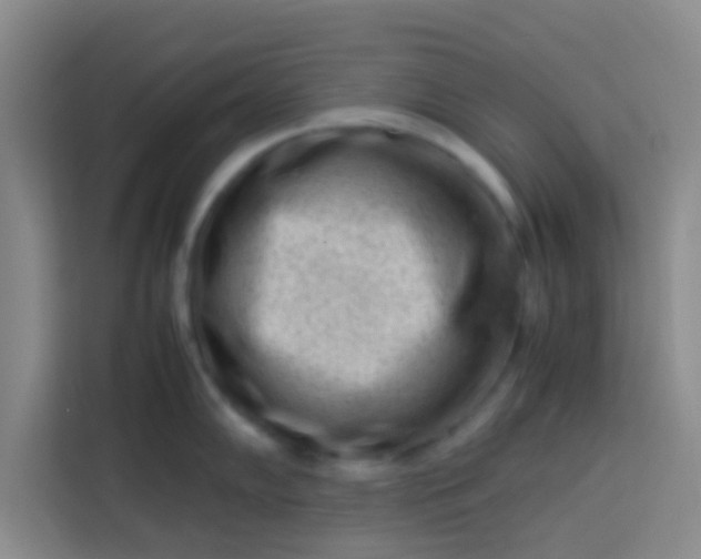 X0000113761102200910071126