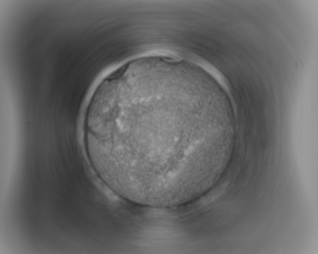 X0000113761104200910071126