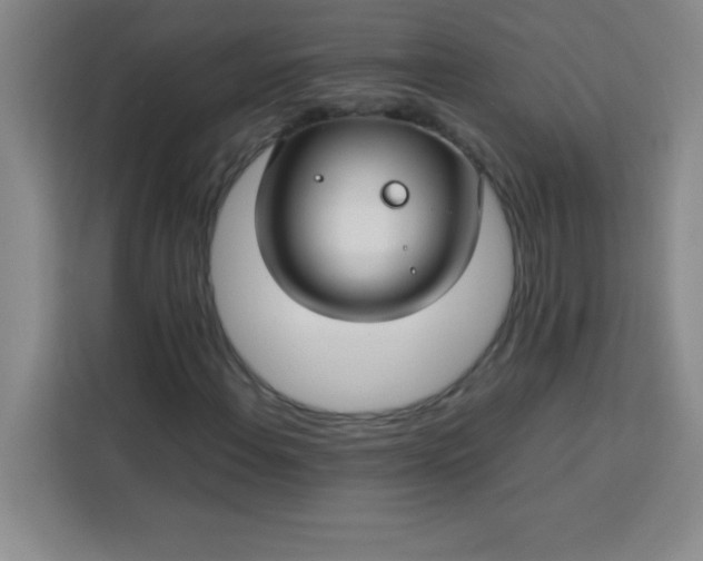 X0000113761108200910071126