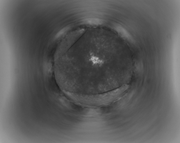 X0000113761110200910071126