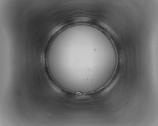 X0000113761113200910071126