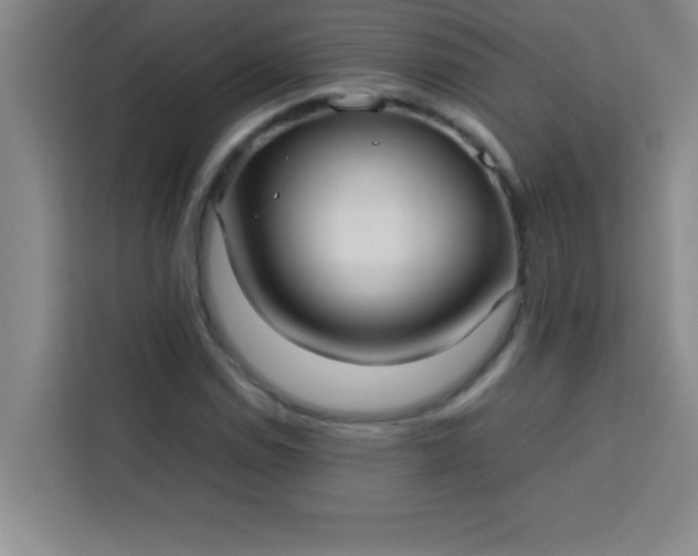 X0000113761114200910071126