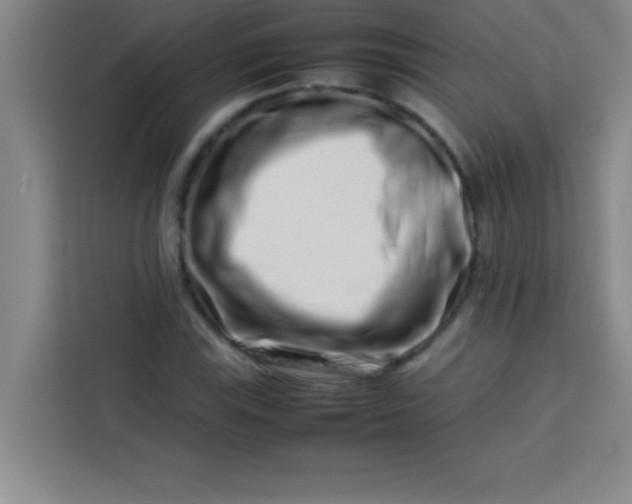 X0000113761115200910071126