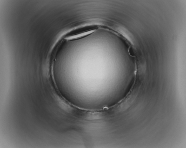 X0000113761116200910071126