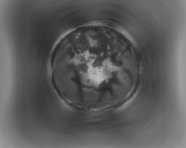 X0000113761117200910071126