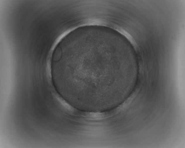 X0000113761120200910071126