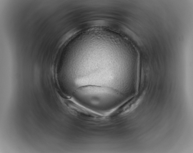 X0000113761121200910071126