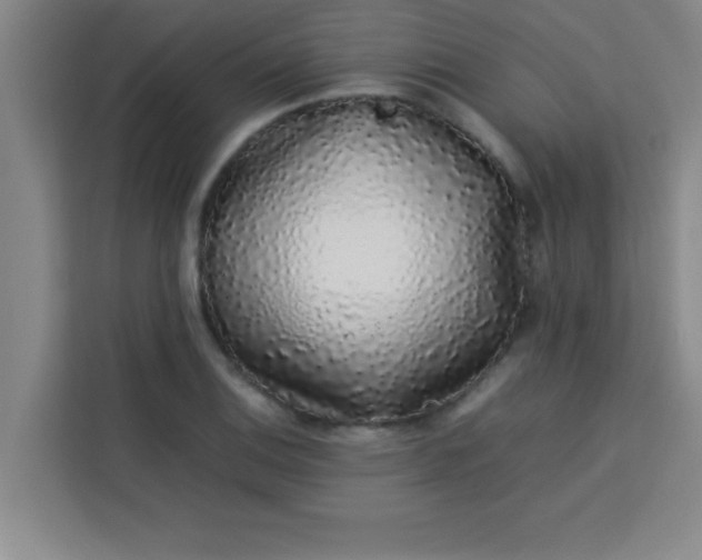X0000113761124200910071126