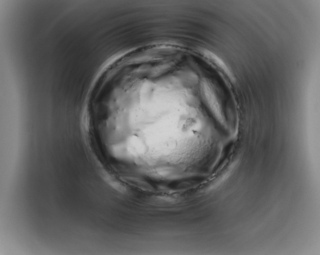 X0000113761125200910071126
