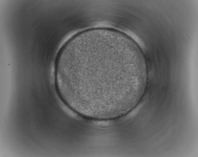 X0000113761126200910071126