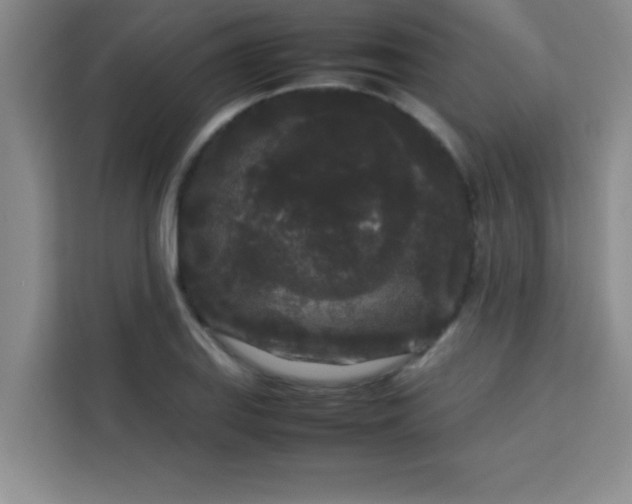 X0000113761127200910071126
