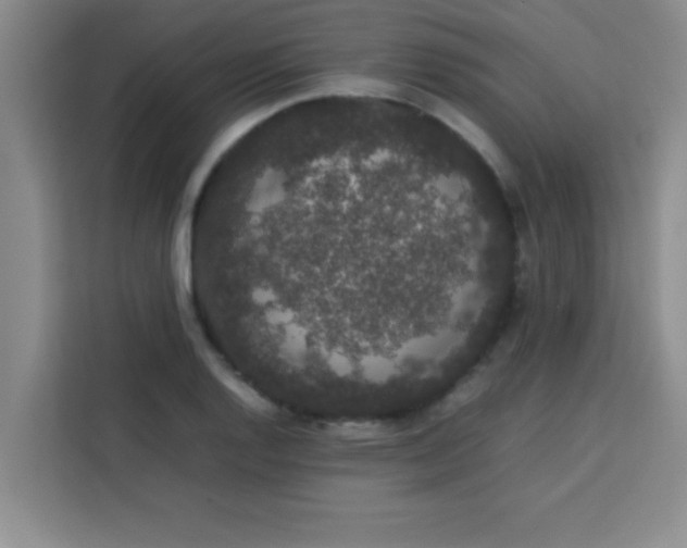 X0000113761128200910071126