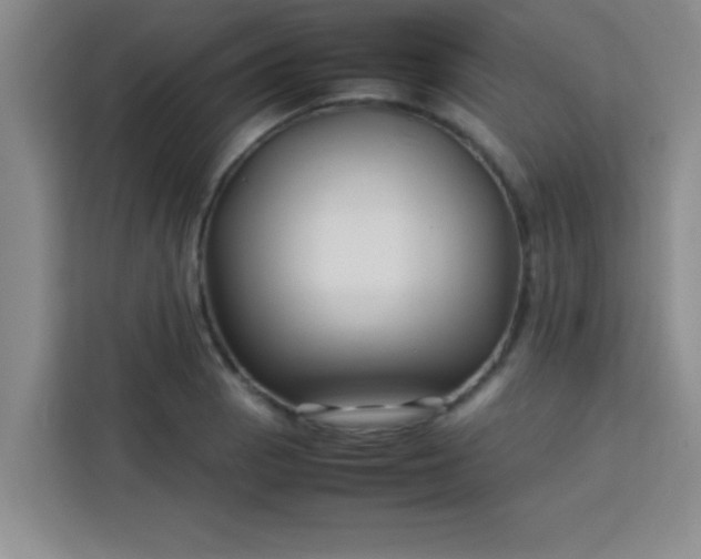 X0000113761129200910071126