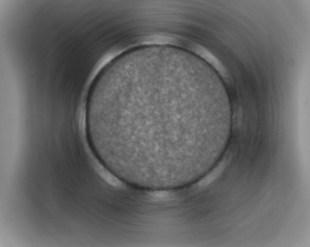 X0000113761130200910071126