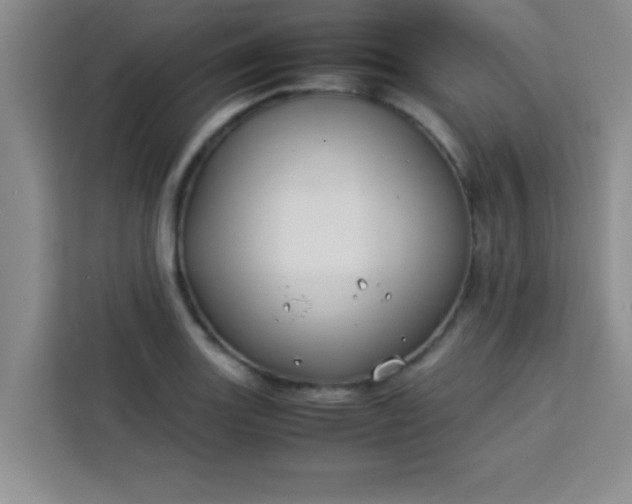 X0000113761131200910071126