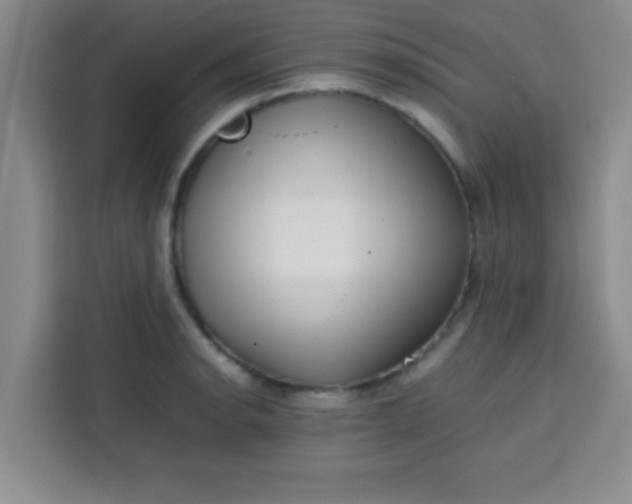 X0000113761134200910071126